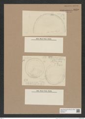 Hyalodiscus ? oamaruensis Grun. (de-Toni-Nr.: Genus 219) Zeichnungen Sammlung Grunow Nr. 9455 (NHMW-BOT-W0379317)